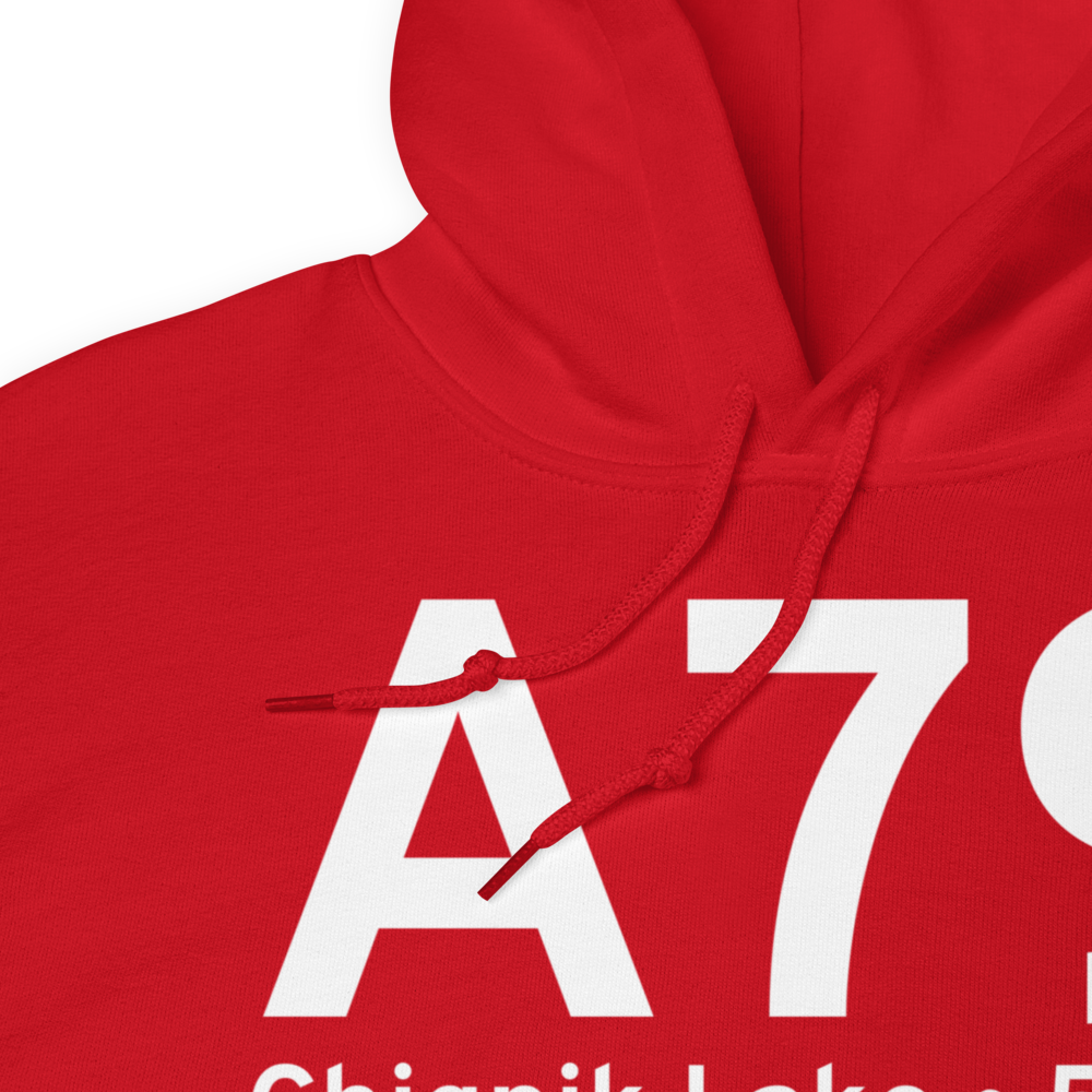 Chignik Lake (A79) Airport Hoodie Sweatshirt 
