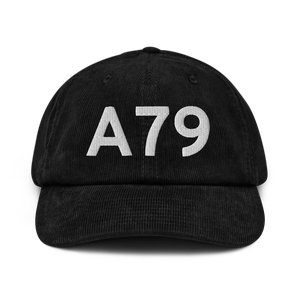 Chignik Lake (A79) Airport Hat