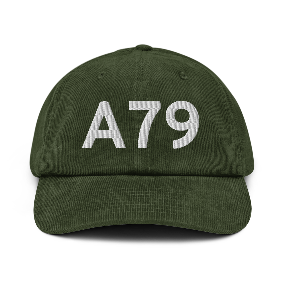 Chignik Lake (A79) Airport Hat 