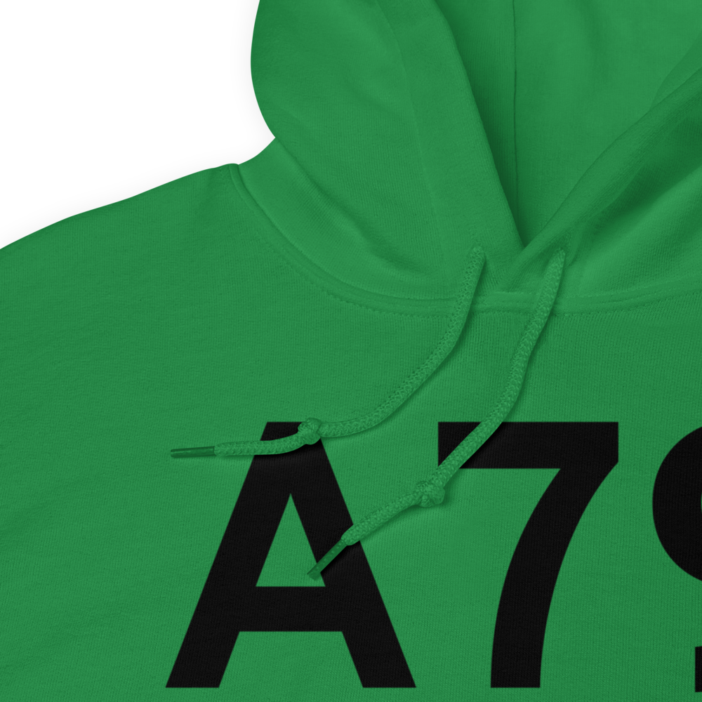 Chignik Lake (A79) Airport Hoodie Sweatshirt 