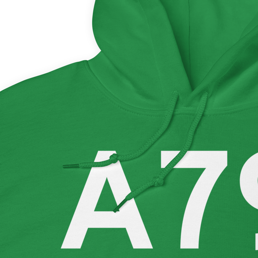 Chignik Lake (A79) Airport Hoodie Sweatshirt 