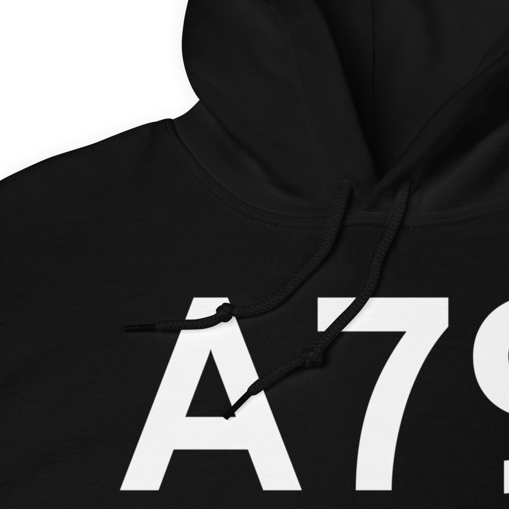 Chignik Lake (A79) Airport Hoodie Sweatshirt 