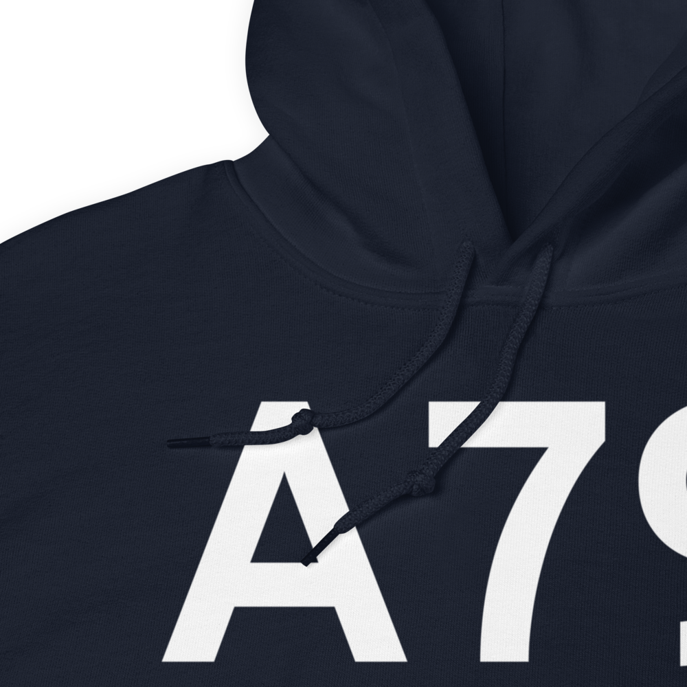 Chignik Lake (A79) Airport Hoodie Sweatshirt 