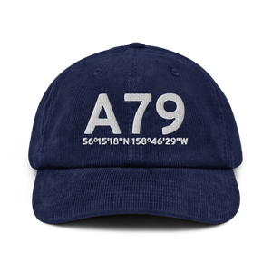 Chignik Lake (A79) Airport Hat