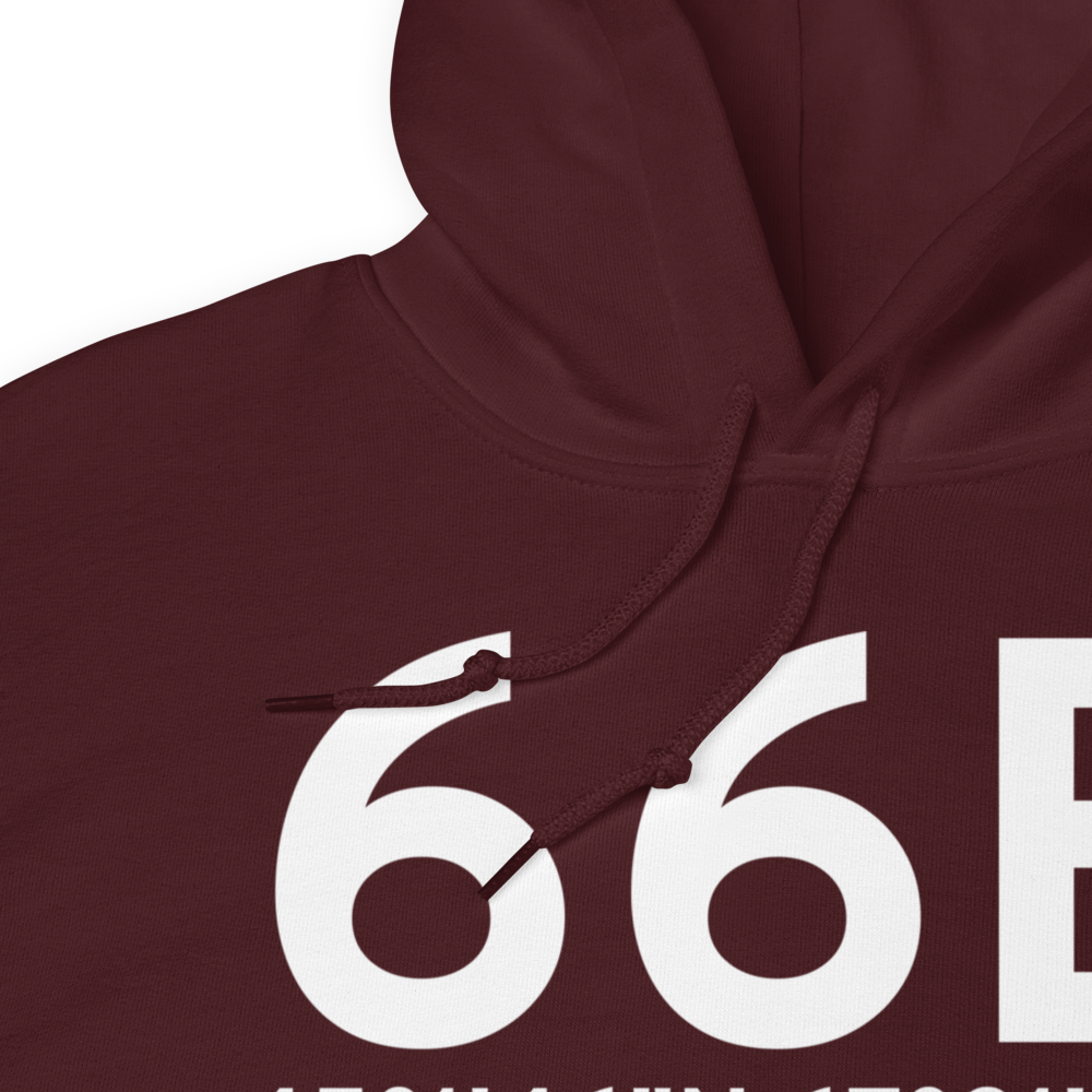 Meddybemps (66B) Airport Hoodie Sweatshirt 
