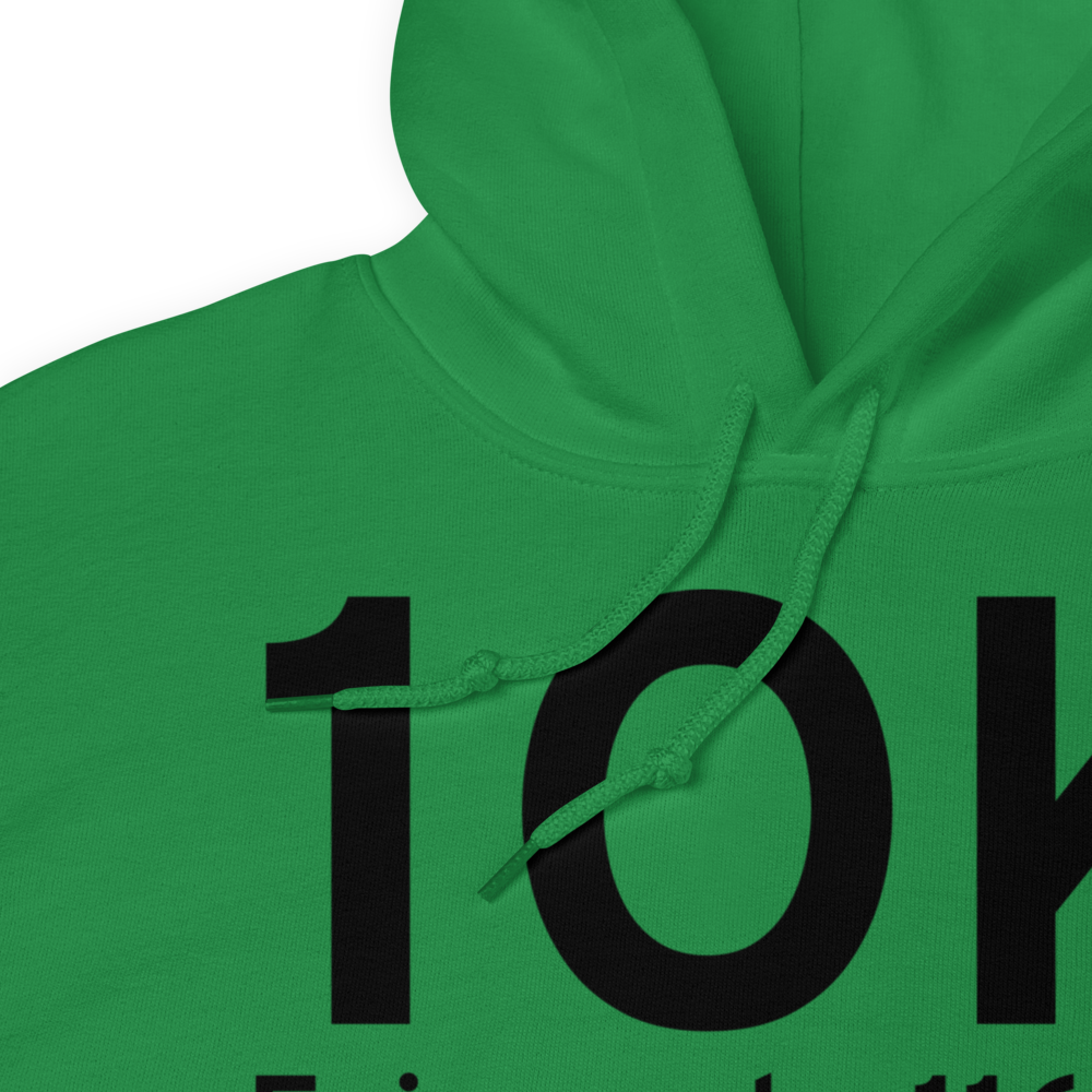 Fairmont (OK16) Airport Hoodie Sweatshirt 