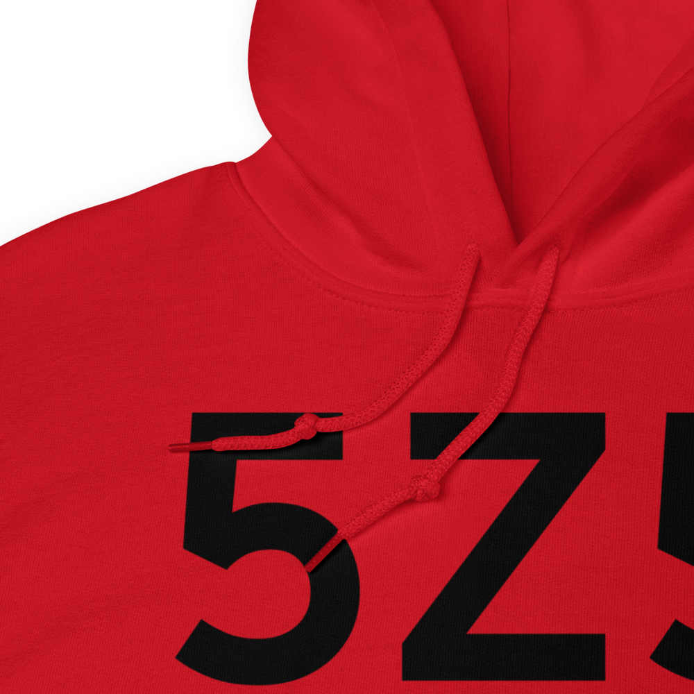 Kantishna (5Z5) Airport Hoodie Sweatshirt 
