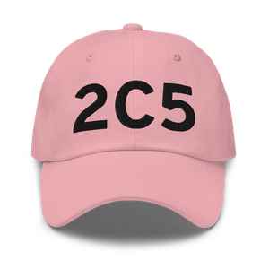 Paw Paw (2C5) Airport Hat