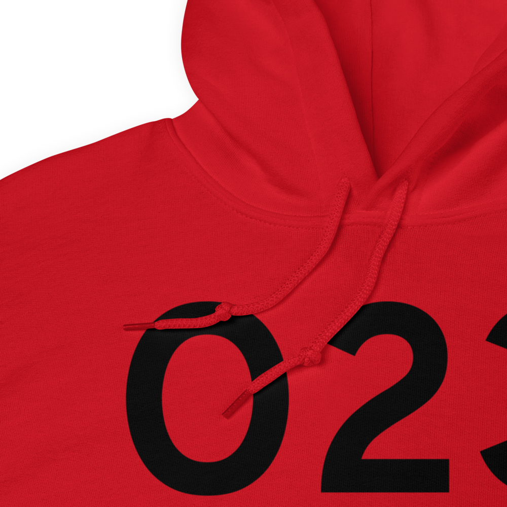 Paicines (O23) Airport Hoodie Sweatshirt 