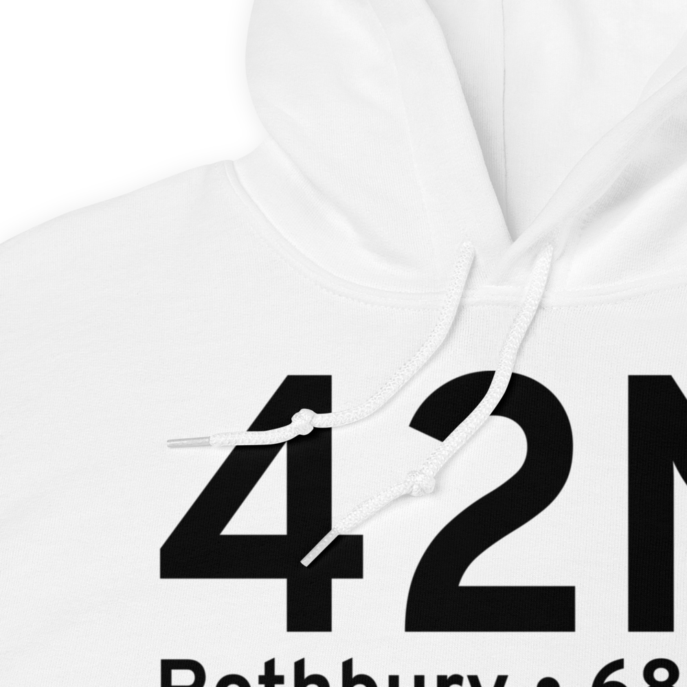 Rothbury (42N) Airport Hoodie Sweatshirt 