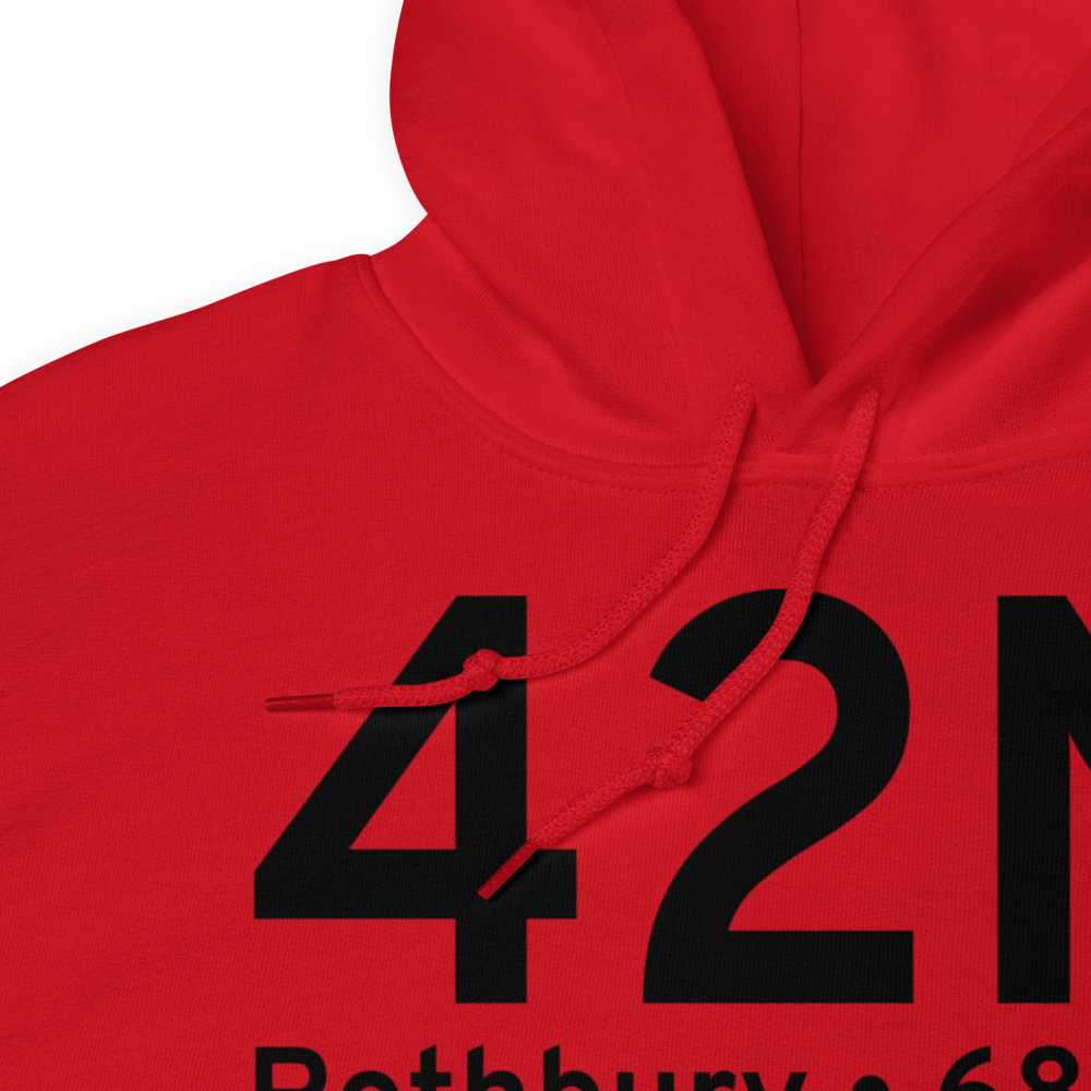 Rothbury (42N) Airport Hoodie Sweatshirt 