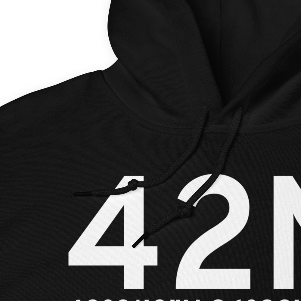 Rothbury (42N) Airport Hoodie Sweatshirt 