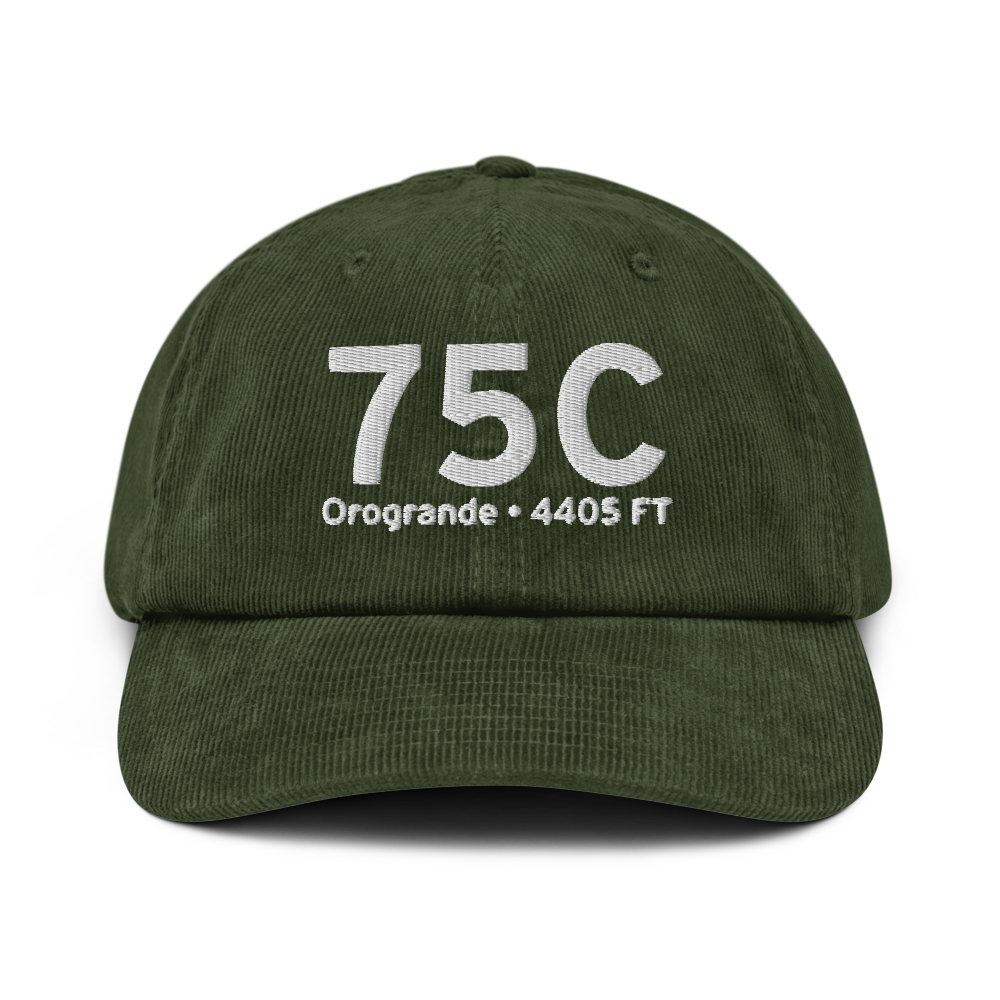 Orogrande (75C) Airport Hat 