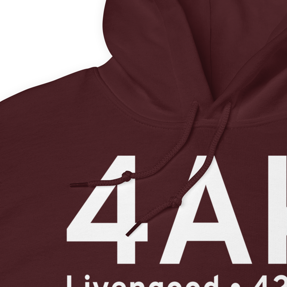 Livengood (4AK) Airport Hoodie Sweatshirt 