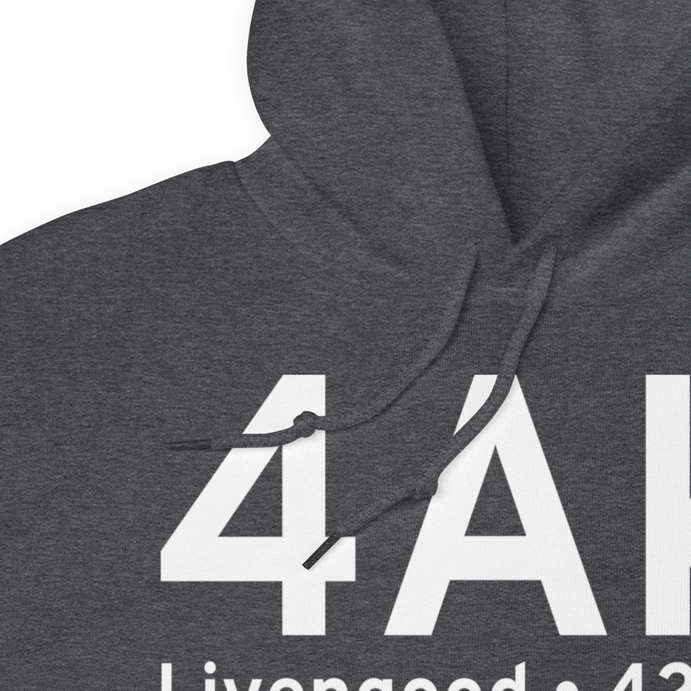 Livengood (4AK) Airport Hoodie Sweatshirt 