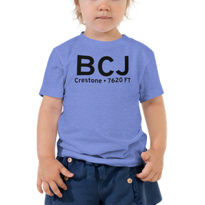 Crestone (BCJ) Airport Toddler T-Shirt