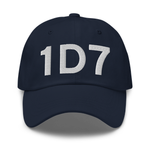 Webster (K1D7) Airport Hat