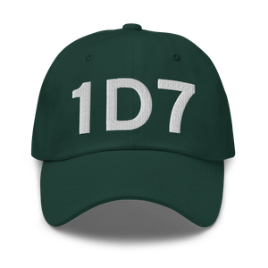 Webster (K1D7) Airport Hat