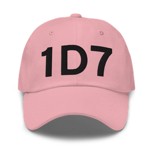 Webster (K1D7) Airport Hat