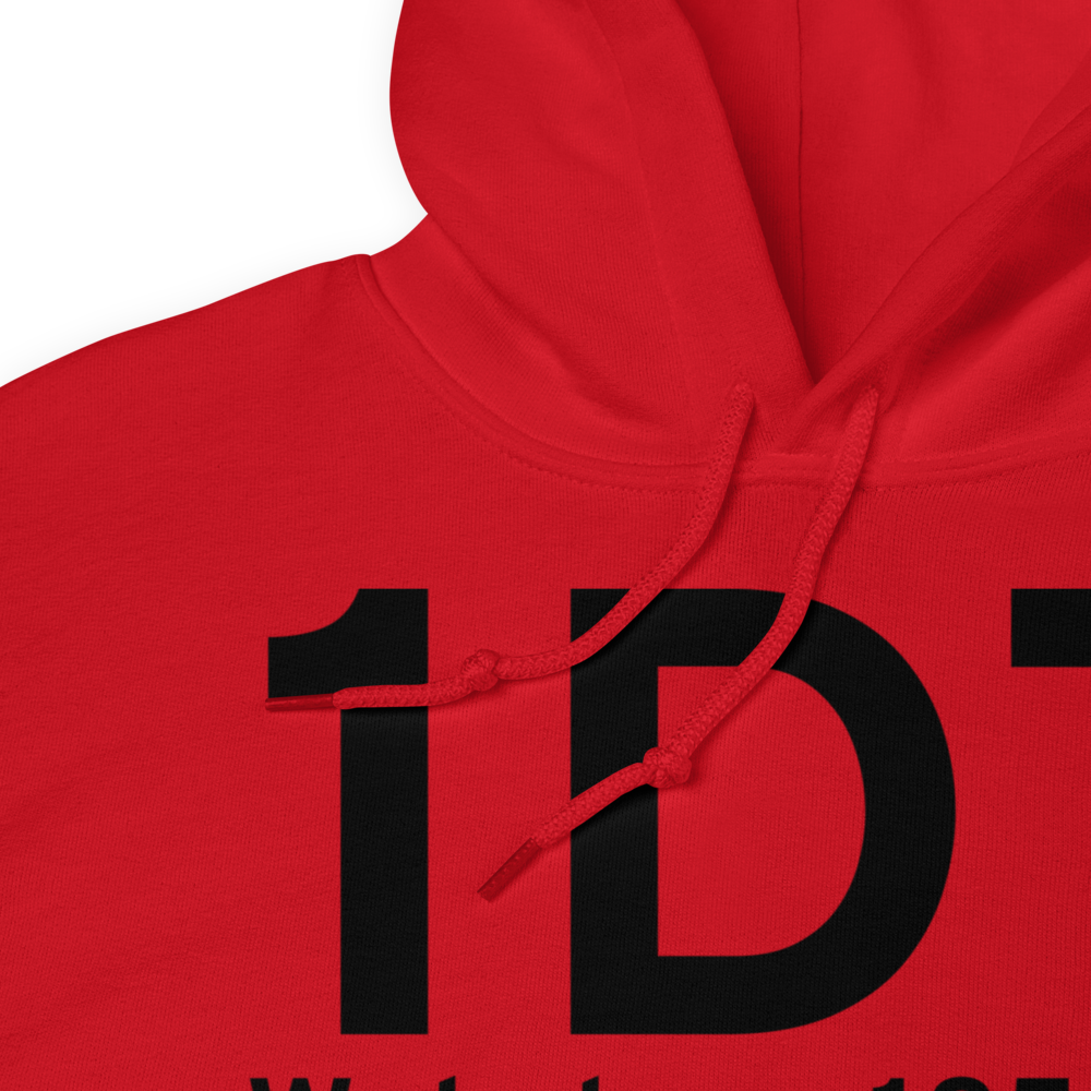 Webster (K1D7) Airport Hoodie Sweatshirt 
