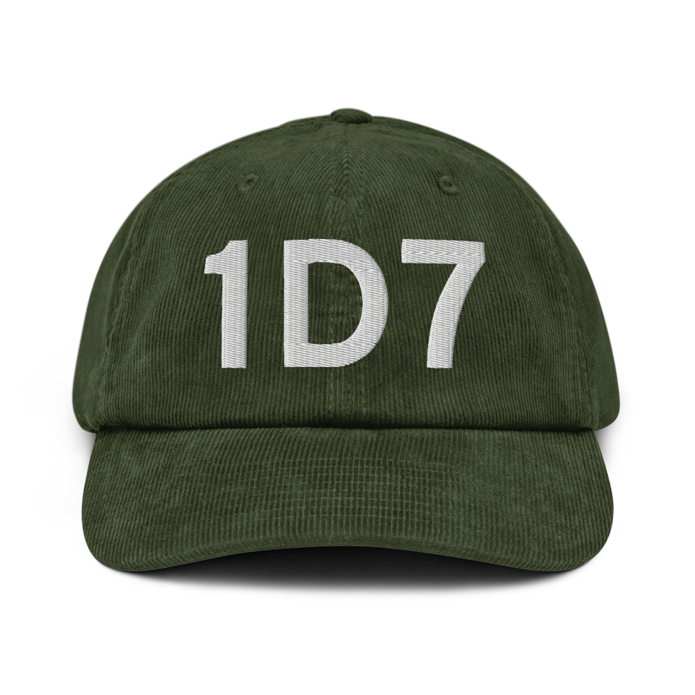 Webster (K1D7) Airport Hat 