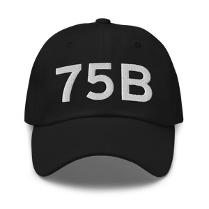 Mount Vernon (75B) Airport Hat