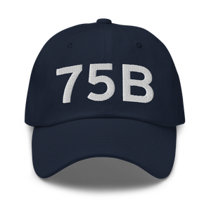 Mount Vernon (75B) Airport Hat
