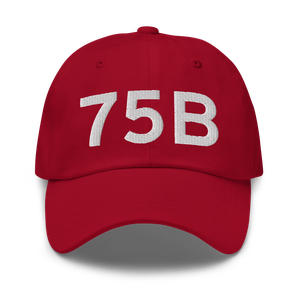 Mount Vernon (75B) Airport Hat