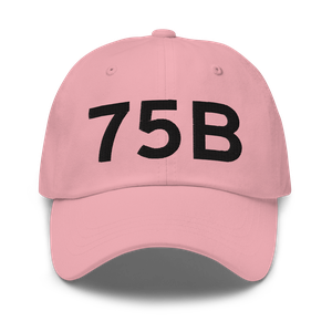 Mount Vernon (75B) Airport Hat