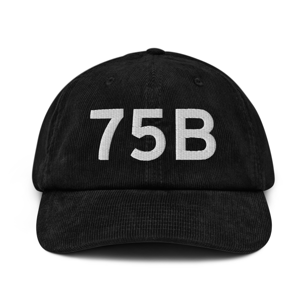 Mount Vernon (75B) Airport Hat 