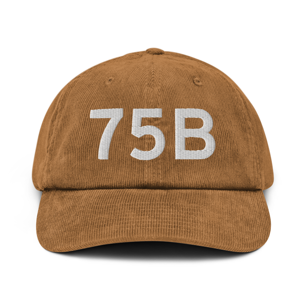 Mount Vernon (75B) Airport Hat 