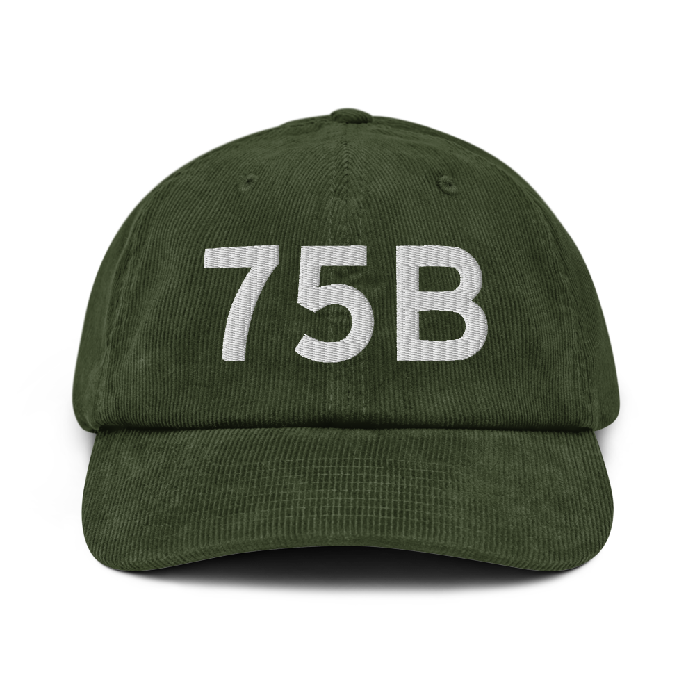 Mount Vernon (75B) Airport Hat 