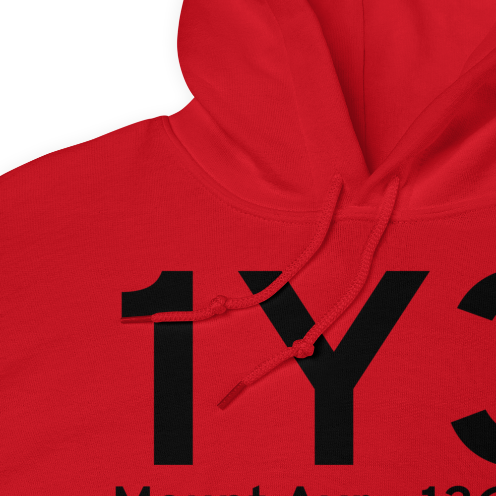 Mount Ayr (1Y3) Airport Hoodie Sweatshirt 