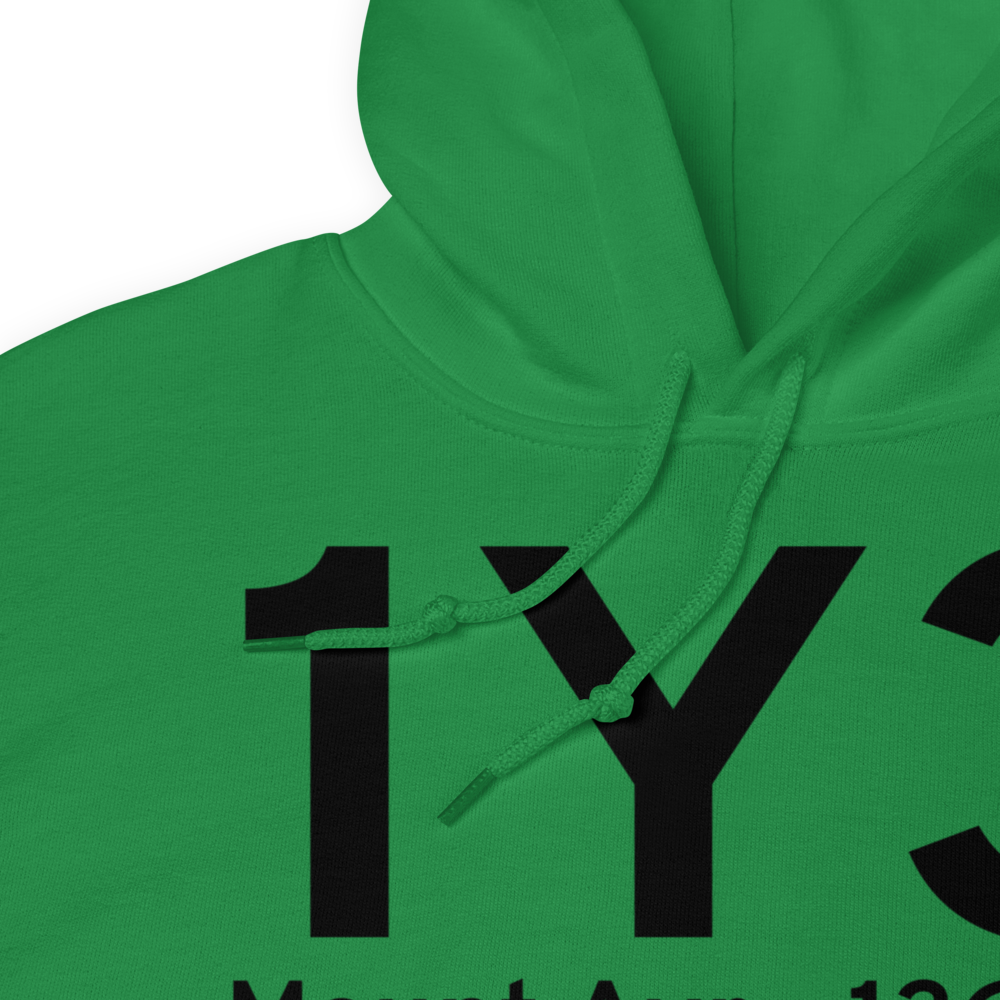 Mount Ayr (1Y3) Airport Hoodie Sweatshirt 