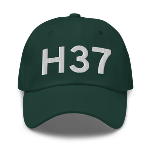 Herlong (KH37) Airport Hat