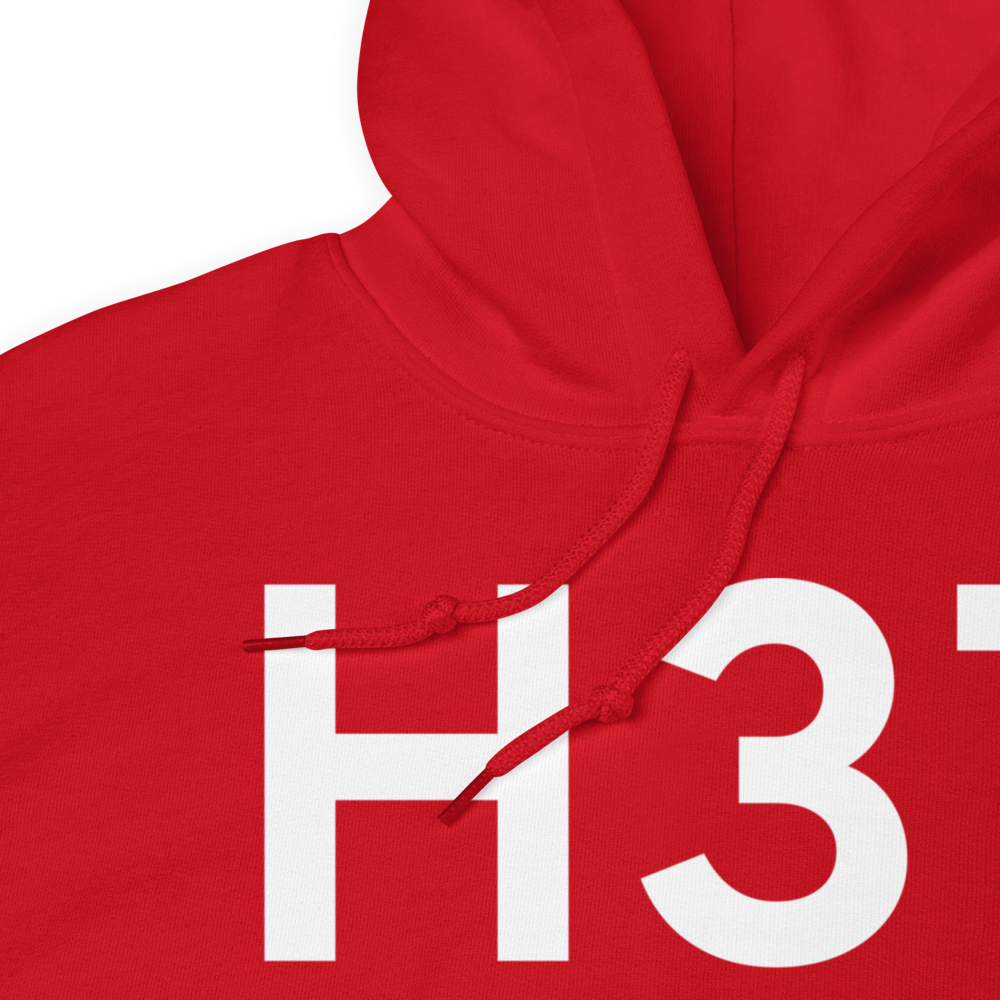 Herlong (KH37) Airport Hoodie Sweatshirt 