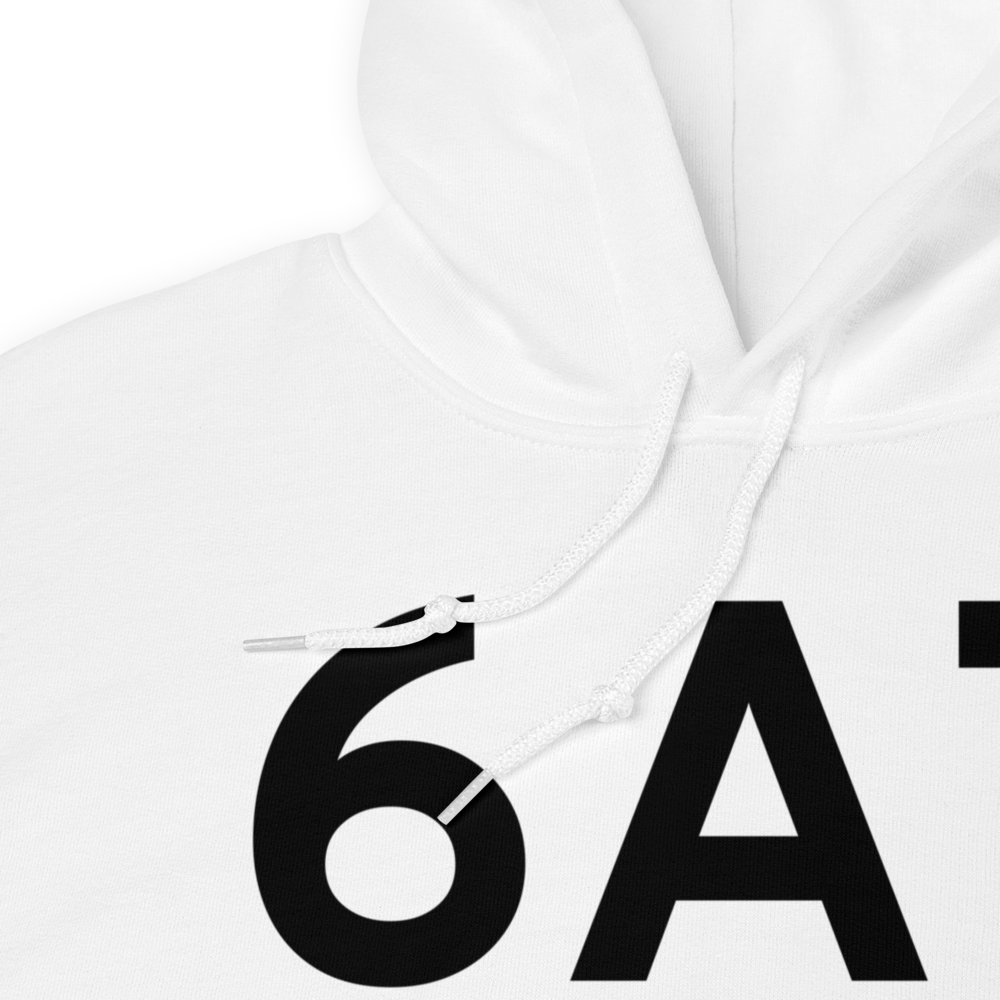 Big Lake (6A7) Airport Hoodie Sweatshirt 