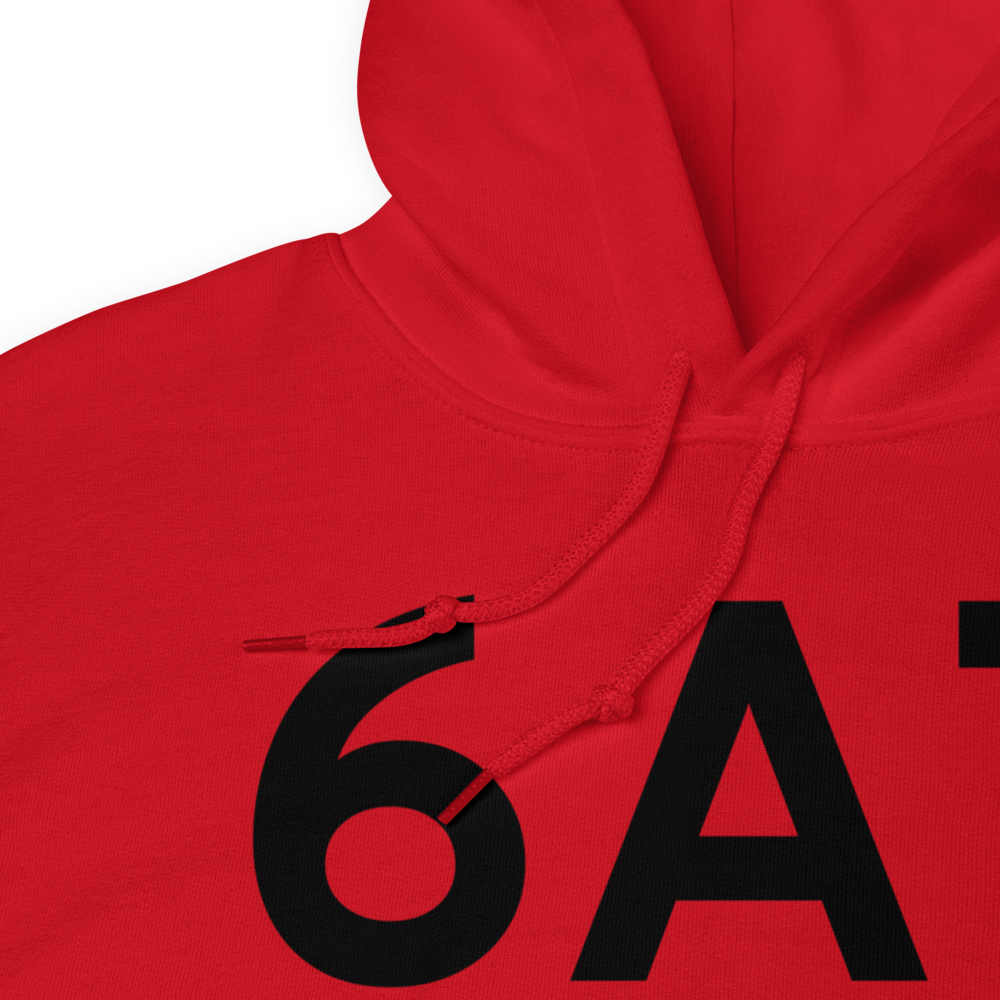 Big Lake (6A7) Airport Hoodie Sweatshirt 