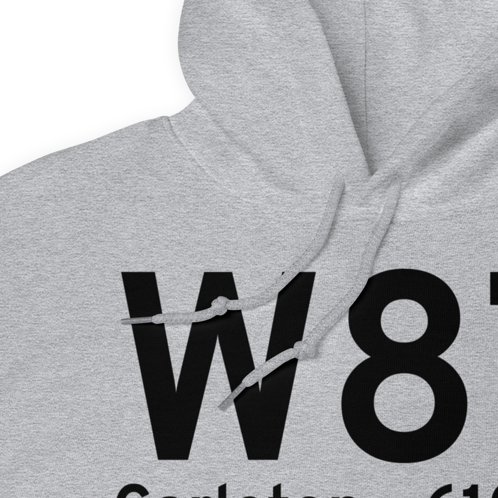 Carleton (W87) Airport Hoodie Sweatshirt 