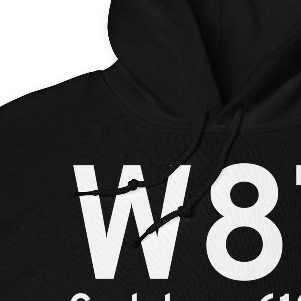 Carleton (W87) Airport Hoodie Sweatshirt 