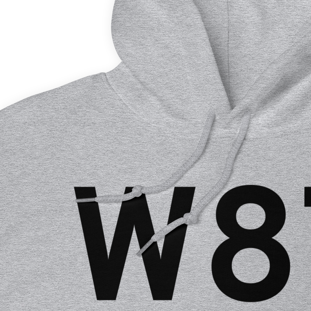 Carleton (W87) Airport Hoodie Sweatshirt 