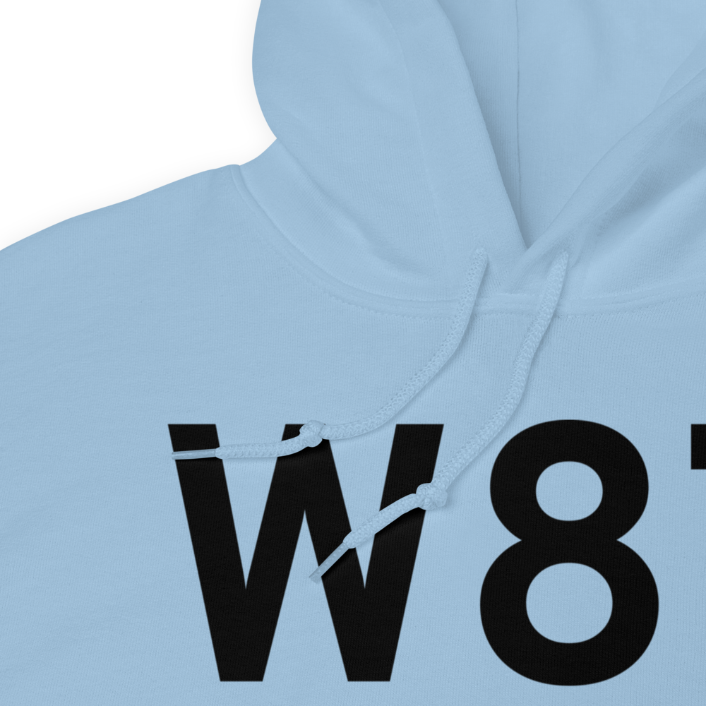 Carleton (W87) Airport Hoodie Sweatshirt 