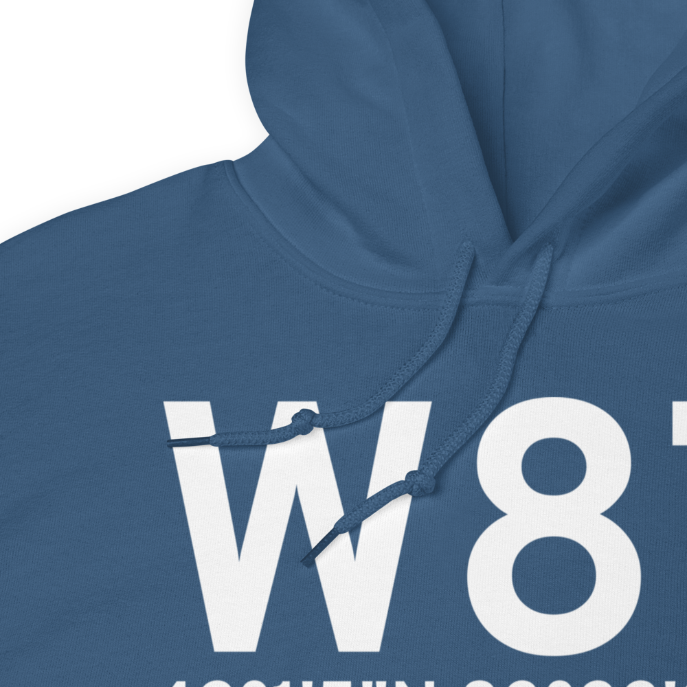 Carleton (W87) Airport Hoodie Sweatshirt 