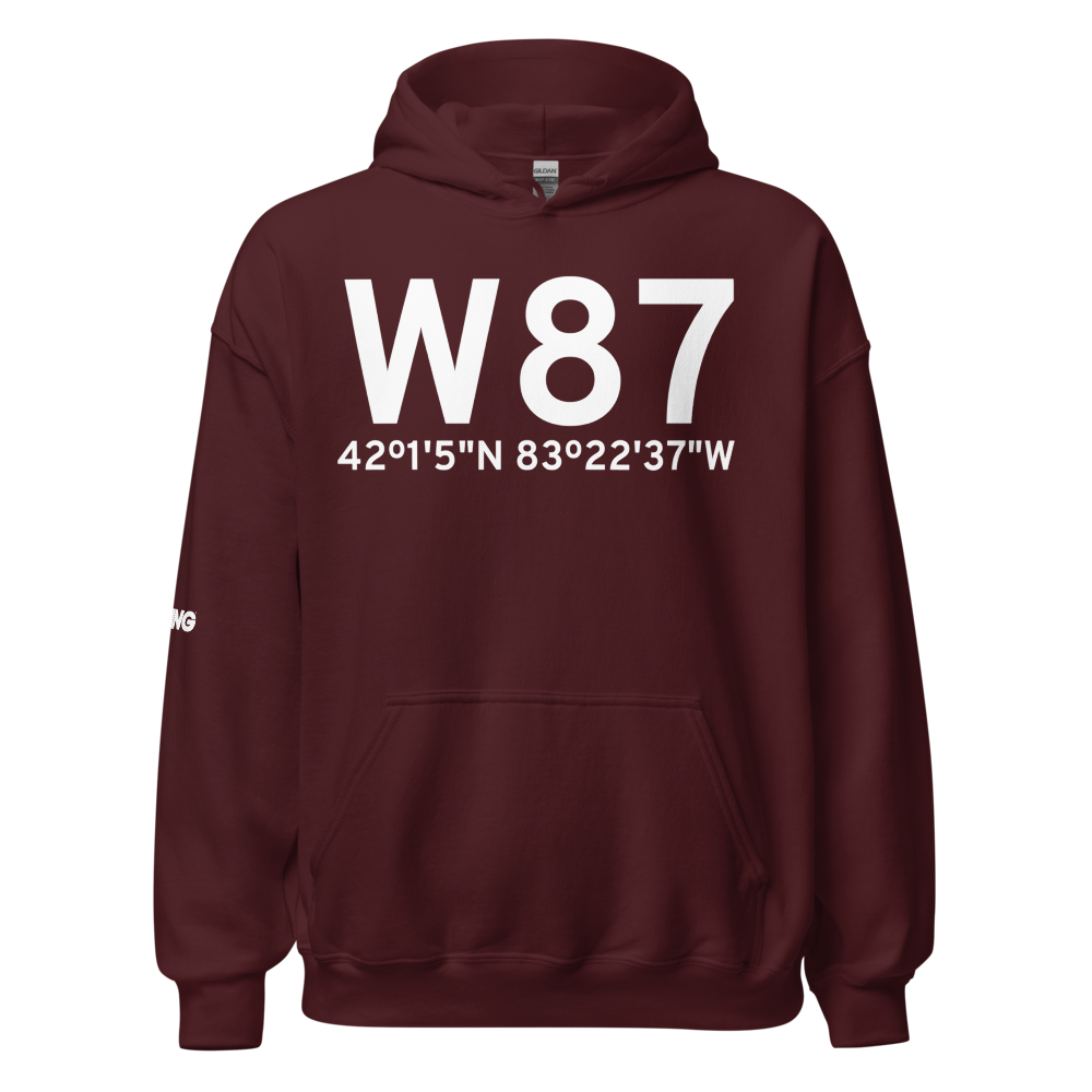 Carleton (W87) Airport Hoodie Sweatshirt 