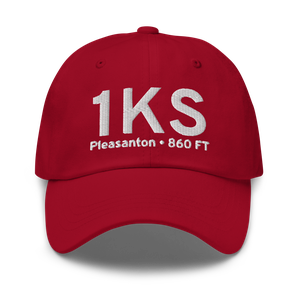 Pleasanton (US-0429) Airport Hat