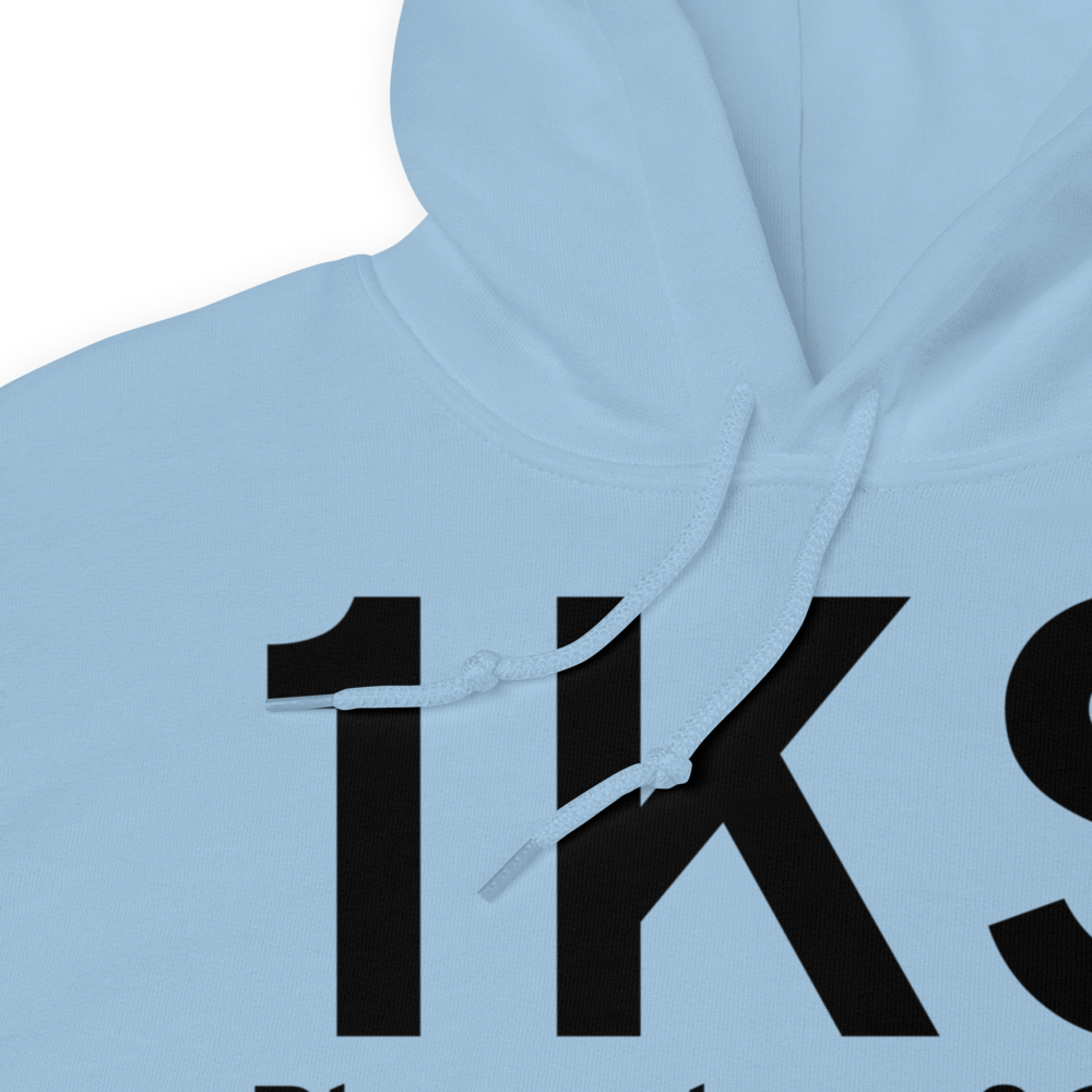 Pleasanton (US-0429) Airport Hoodie Sweatshirt 