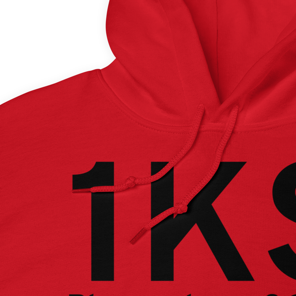 Pleasanton (US-0429) Airport Hoodie Sweatshirt 