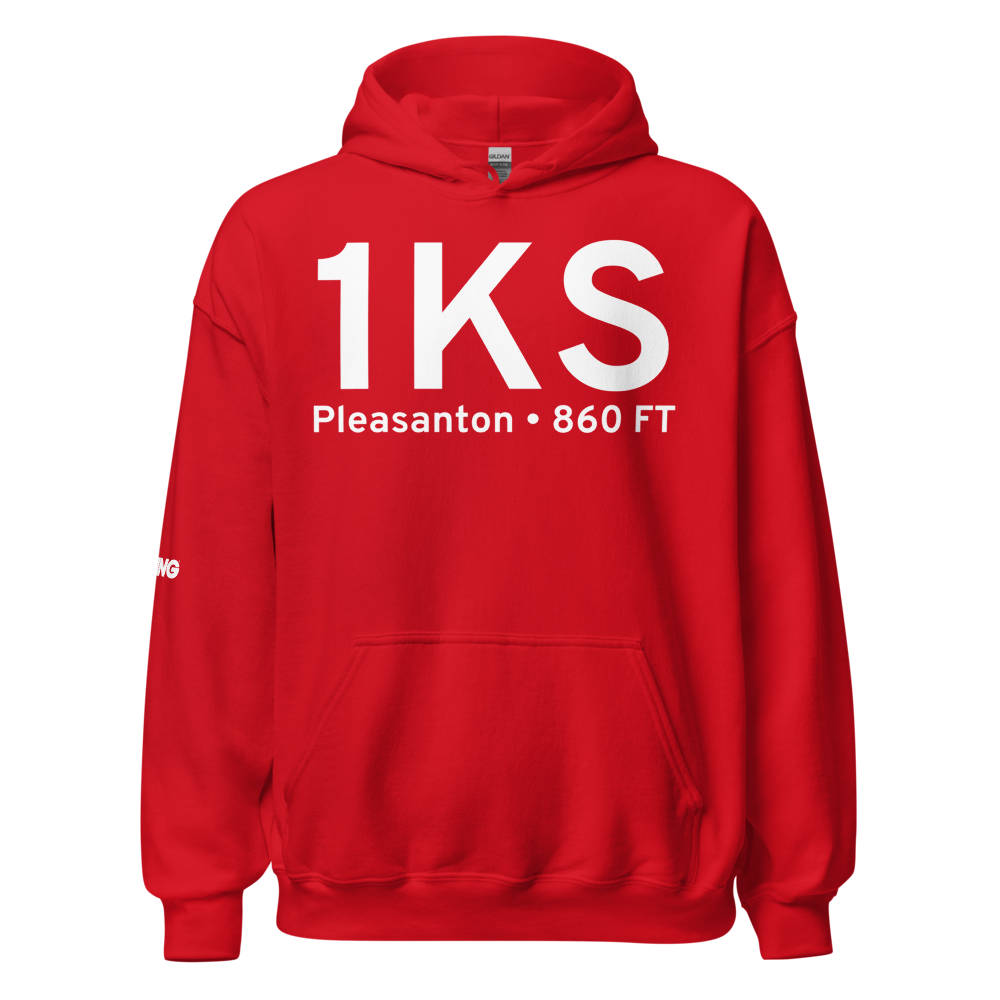 Pleasanton (US-0429) Airport Hoodie Sweatshirt 