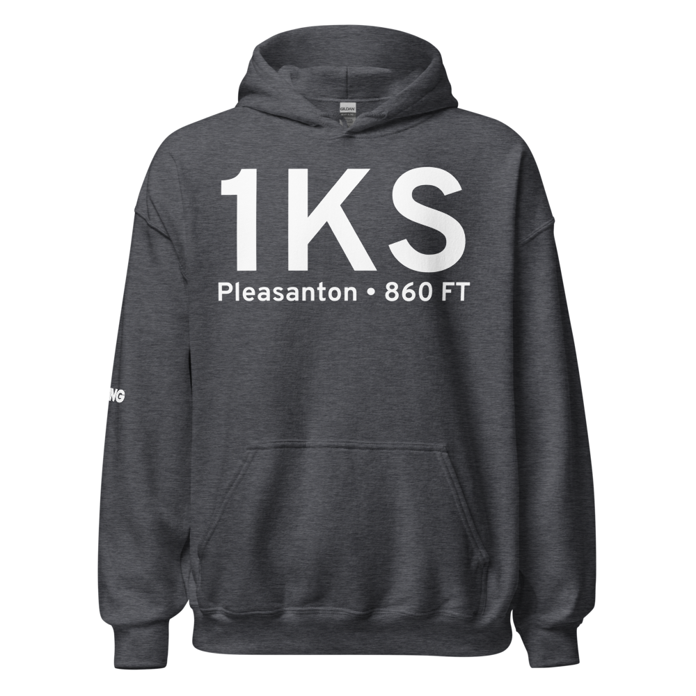 Pleasanton (US-0429) Airport Hoodie Sweatshirt 