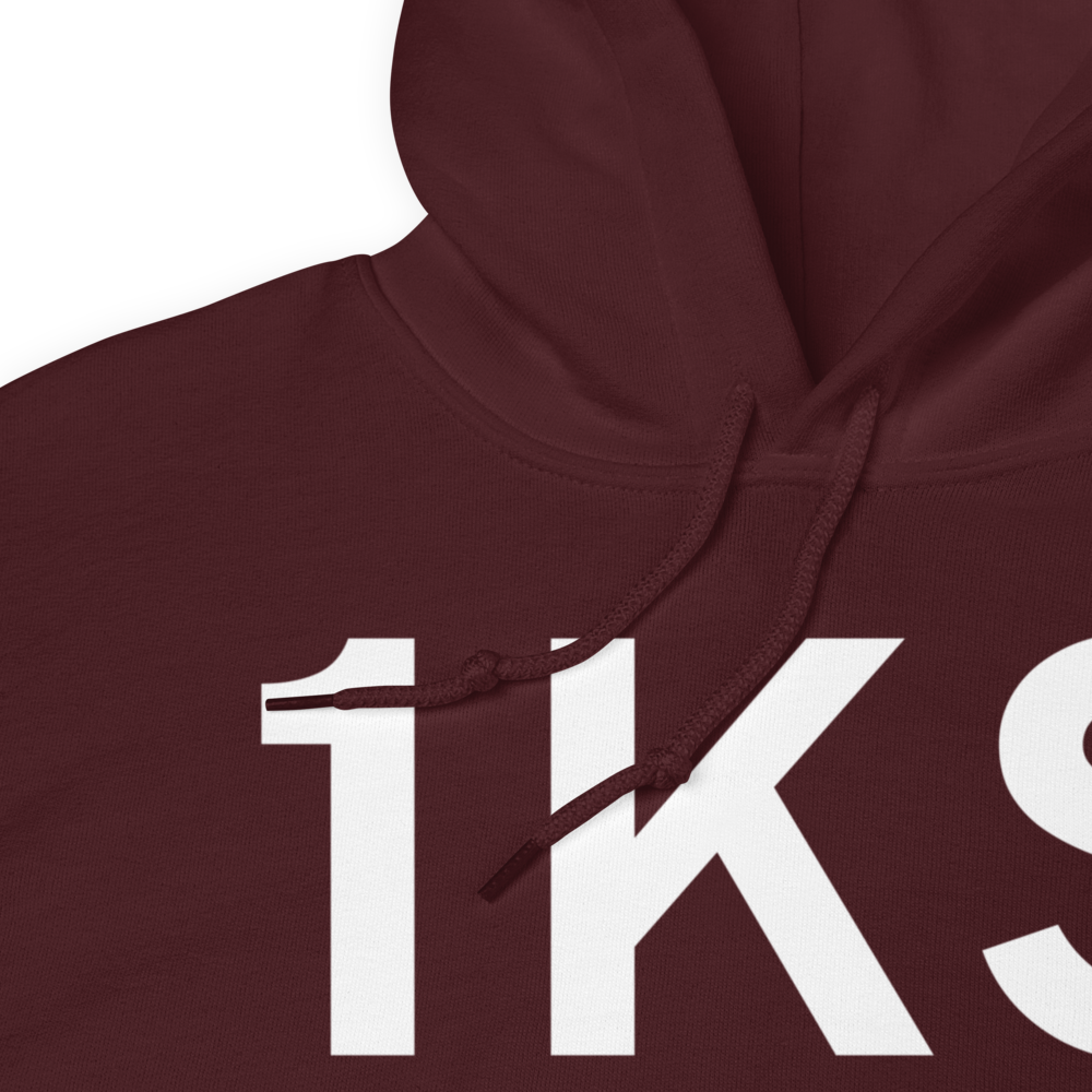 Pleasanton (US-0429) Airport Hoodie Sweatshirt 